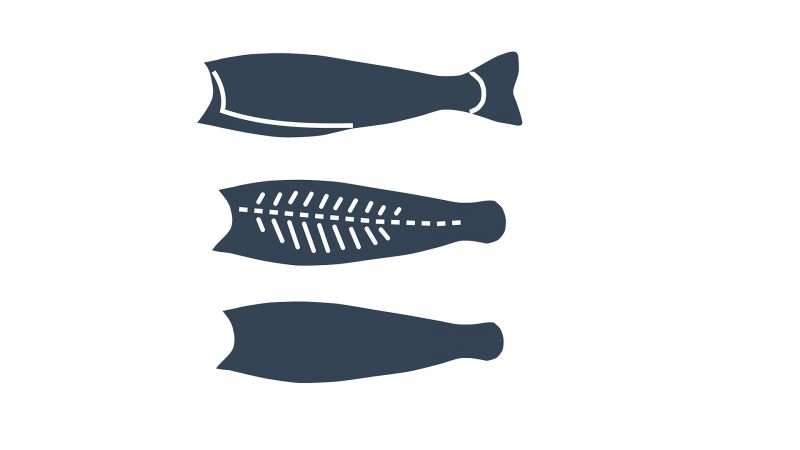 Fisch Fisch